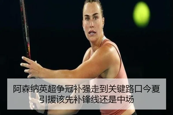 阿森纳英超争冠补强走到关键路口今夏引援该先补锋线还是中场 | dbdianjing