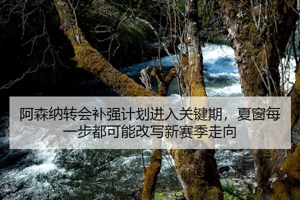 阿森纳转会补强计划进入关键期，夏窗每一步都可能改写新赛季走向 | dbdianjing